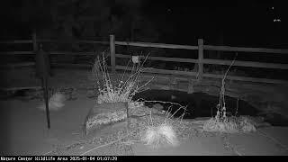 Los Alamos Nature Center Wildlife Camera