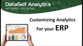 DataSelf - Customizing ERP Analytics