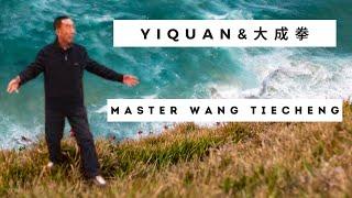 Yiquan Master Wang Tiecheng #yiquan #dachengquan #wangxiangzhai