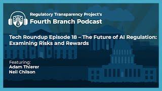 The Future of AI Regulation  Examining Risks and Rewards