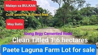 #Vlog248 FARM LOT FOR SALE CLEAN TITLED in PAETE LAGUNA | COLD WEATHER & FLOOD FREE  ALONG BRGY ROAD