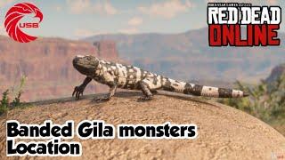 Banded Gila Monsters Locations rdr2 Online - Red Dead Online Banded Gila Monsters Location Guide