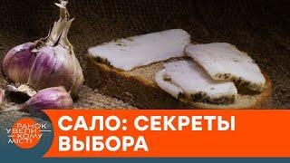 Сало: как выбрать качественное и где  покупать, чтобы не отравиться — ICTV