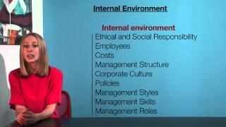 VCE Business Management - Internal Environment