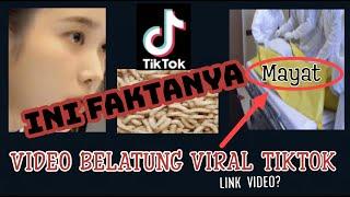 VIDEO BELATUNG VIRAL TIKTOK  ! CEWE NYA MAY4T?  INI FAKTANYA  #belatungviral