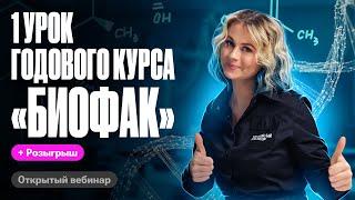 Химия клетки | 1 урок курса "Биофак" 2025 | Ксения Напольская