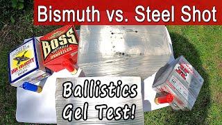 BOSS Bismuth Vs. Steel Shot | Ballistics Gel Test For Duck Hunting Ammo!