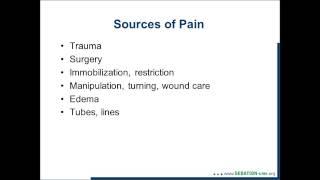 Sources and Consequences of Pain in the ICU