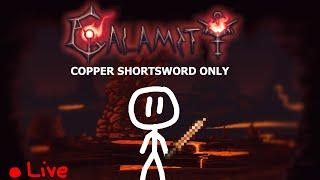 Attempting To Beat Calamity With Only The Copper Shortsword (Part 5)