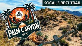 Palm Canyon Epic Guide - Riding Solo on a Hardtail