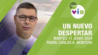 #UnNuevoDespertar  Martes 11 Junio 2024, Padre Carlos Andrés Montoya #TeleVID #OraciónMañana