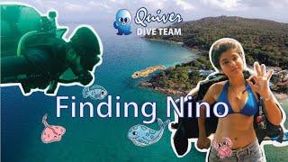 Scuba diving in the beautiful Perhentian islands - Open water diving course