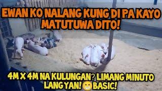 PAGKATALINONG MGA BIIK!Napakaginhawa ang paglilinis sa BABUYANG WALANG AMOY| NAPAKABASIC!