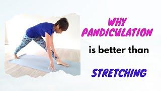 Pandiculation|The difference between a stretch and pandiculation. A somatic movement guide