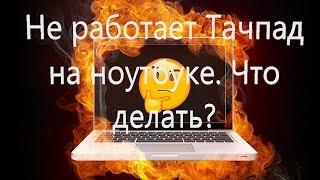 Не работает Тачпад на ноутбуке? 5 способов решения TouchPad