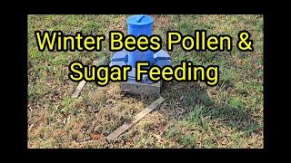 Winter Bees Pollen & Sugar Feeding