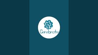 Cerebrote está en vivo