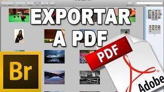 Exportar fotos a PDF - Tutorial Adobe Bridge en Español por @prismatutorial