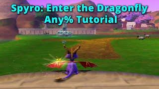 Spyro: Enter The Dragonfly Any% Tutorial - Speedrun