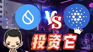 SUI VS Cardano：谁将在2025年的牛市中称王?