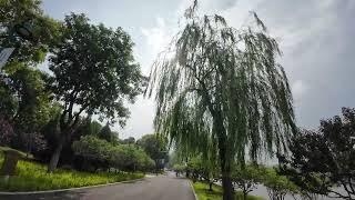 Strolling in Beijing Grand Canal Forest Park - Part 1