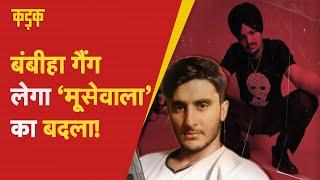 कौन है  Bambiha Gang जिसके पास हैं 300 से ज्यादा शूटर्स? | Sidhu Moose Wala | Davinder Bambiha