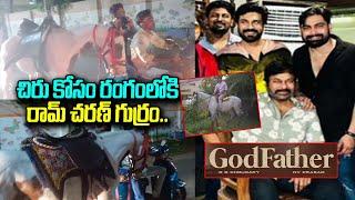 Ram Charan horse for GOD FATHER Celebrations | Chiranjeevi Success | Mana Telugu Stars