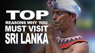 Top Reasons Why You Must Visit Sri Lanka  -  La Vacanza Travel