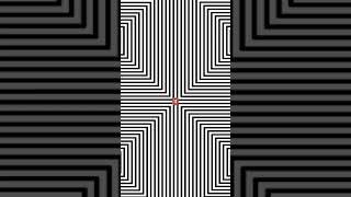 INSANE OPTICAL ILLUSION 