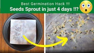 Best Seeds Germination Hack! Tissue Paper Method Seed Germination | TrustBasket