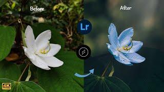 Flower Mobile editing tutorial | Lightroom color grading | Lens Distortions