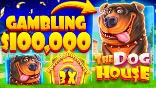 EXACTLY $100,000 ON DOG HOUSE BONUS BUYS!