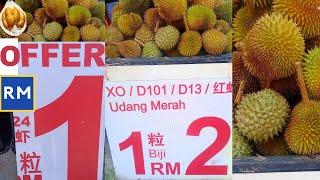 durian murah 1biji Rm1