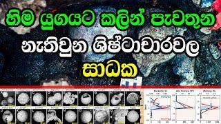 හිම යුගයට කලින් පැවතුන නැතිවුන ශිෂ්ටාචාරවල සාධක | Evidence of Pre Ice Age Lost Civilizations