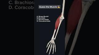 This forms the lateral border of which anatomical region?