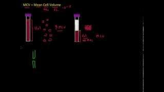 Understanding the mean cell volume (MCV) - Full Blood Count Masterclass series