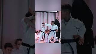 Okinawa Kenshikai Goju-ryu Karate-jutsu Dmitriy Romanovskiy