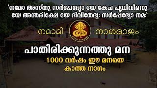 പാതിരിക്കുന്നത്ത് മന | 1000 വർഷം മനയെ കാത്ത നാഗം| PATHIRIKKUNNATHU MANA  PALAKKAD | SERPENT TEMPLE