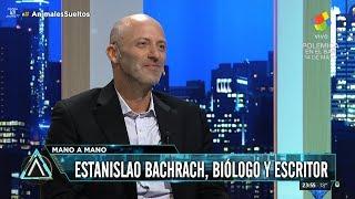 Estanislao Bachrach en Animales Sueltos con Alejandro Fantino (completo HD) - 04/05/18