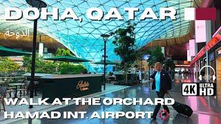 HAMAD INTERNATIONAL AIRPORT DOHA Walking Tour [4K VIDEO] The Orchard Garden | مطار حمد الدولي