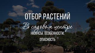 Что нужно знать при покупке растений? Контрольная закупка в Садовом Центре. Главные ошибки садоводов