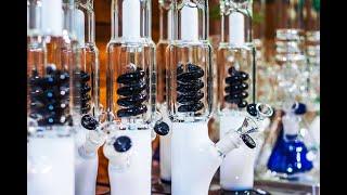 Bongs - How to Choose the Best Bong- Buyers Guide and Special Limited 5% Off Promo Code