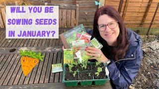 What To Sow In January - Allotment Gardening For Beginners UK