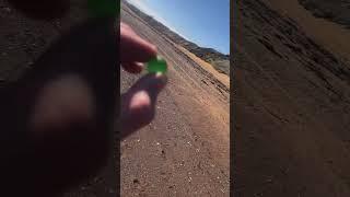 Beach combing for sea marbles. A green one!!