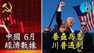 兩個事：川普遇刺。中國二季度GDP增速能上5%嗎？6月貿易順差創新高，水分有多高？｜米國路邊社 [20240713#571]