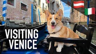 EUROPE ADVENTURE (3/3) - Topi the Corgi