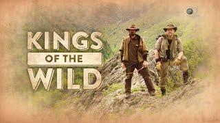 Kings of the Wild - Rhodope Mountains / Bulgaria