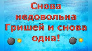 Деревенский дневник очень многодетной мамы \ Снова недовольна Гришей и снова одна! \ Обзор