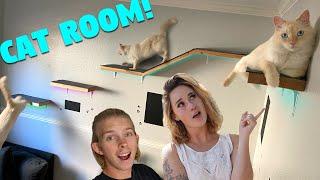 We Built our New Cat his Own Epic Cat Room!