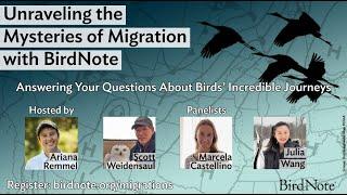 Unraveling the Mysteries of Migration with BirdNote